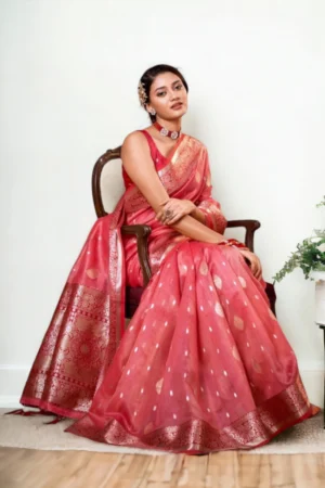 Banarasi Tissue Silk Saree - Red